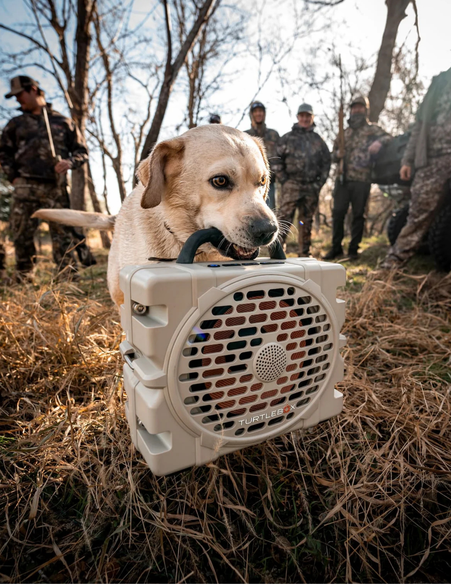 Turtlebox Grande - Tan