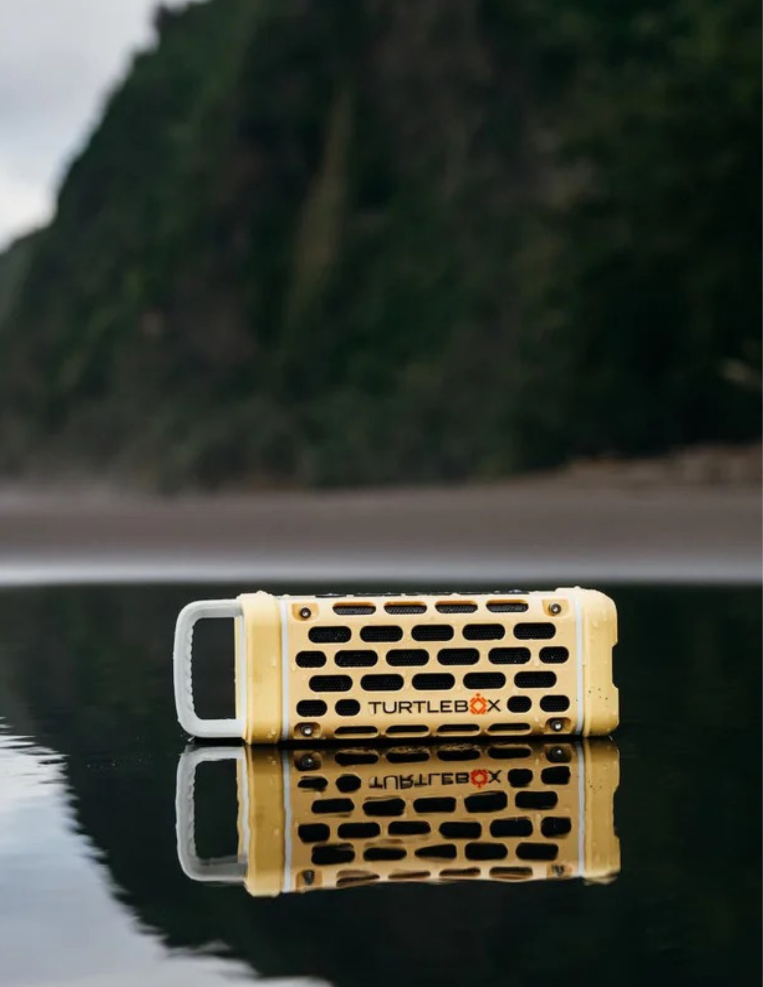 Turtlebox Ranger - Fighting Lady Yellow