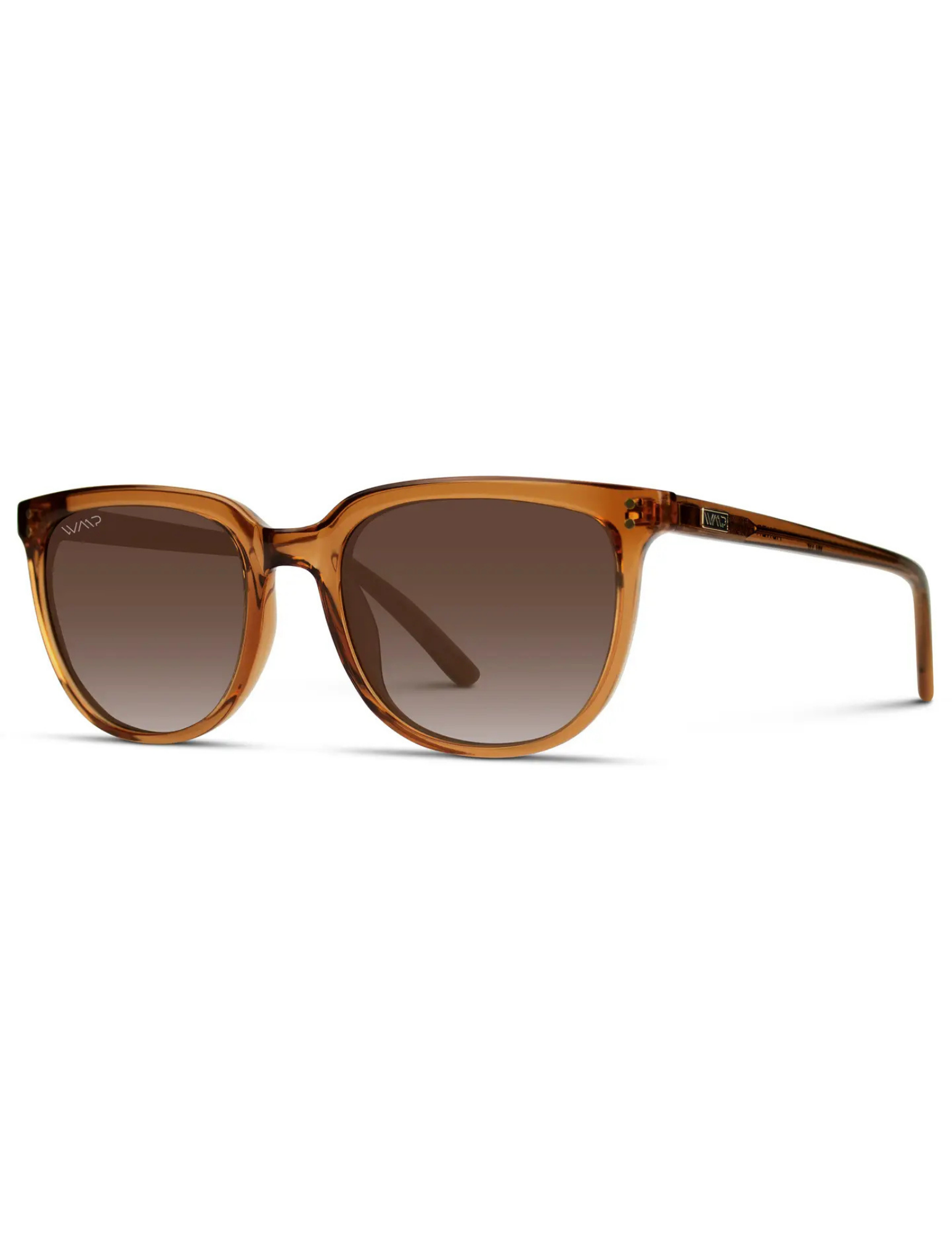 Abner - Unisex Polarized Square Sunglasses - Crystal Brown / Brown Gradient Lens - The Foundry